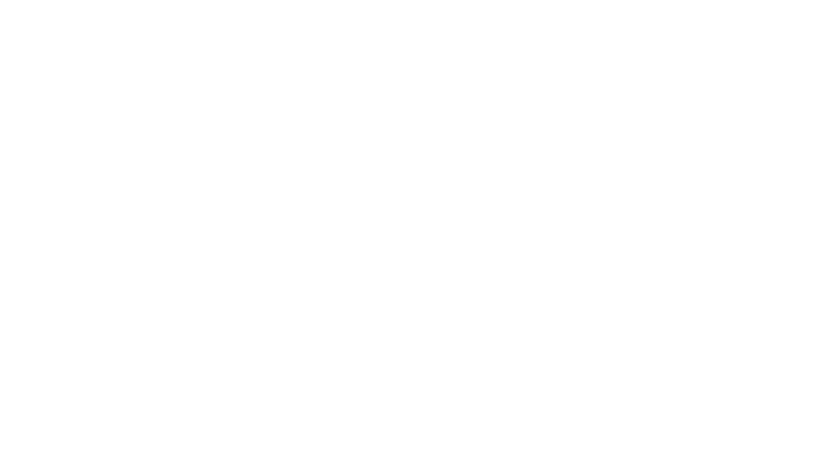 Brinque Brinque